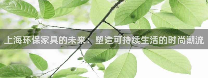 tp 钱包 接口