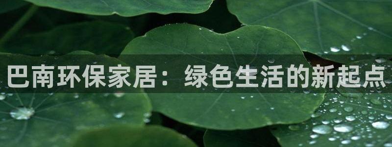 tp钱包pc版