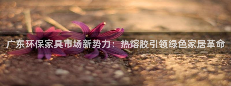 tp 钱包app