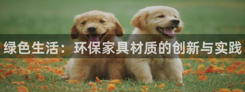 tp官方正版下载