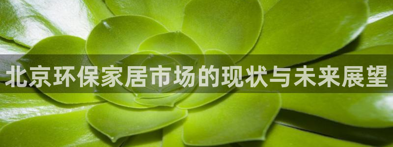 tp钱包app安卓版下载