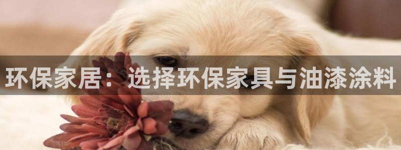 tptp官方下载免费版