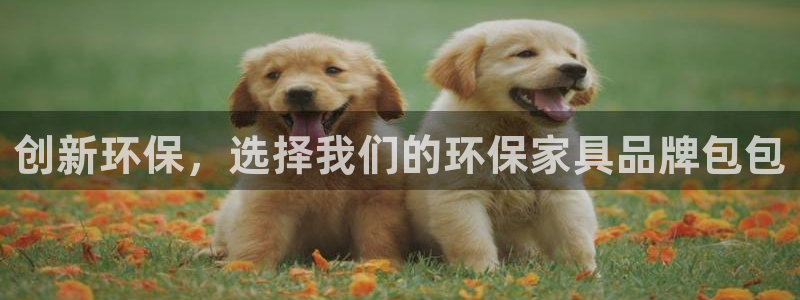 TP钱包DApp打开黑屏