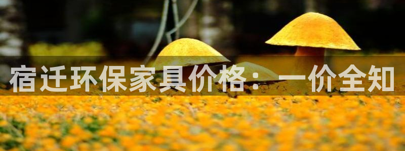 TP钱包安卓版下载后无法安装