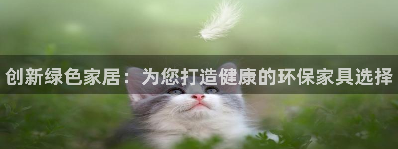 tp钱包薄饼怎么卖币