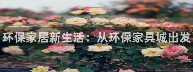 tp钱包安卓通用版下载2023