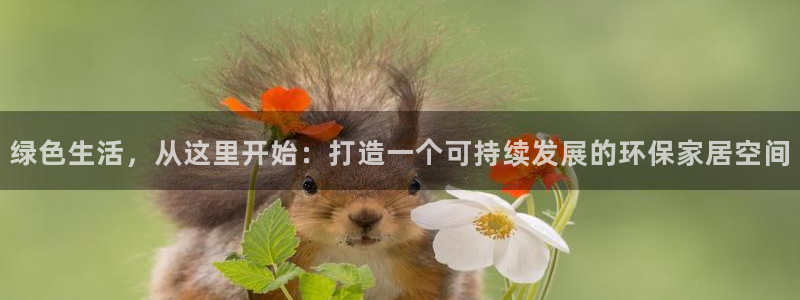 tp钱包安卓闪退