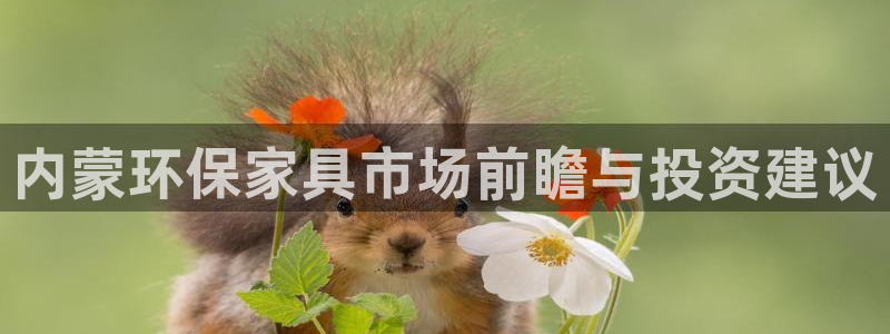 tp钱包BNB转到其他地址怎么追踪